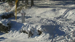 Běžecký lyžařský areál Nová Ves - horní část