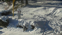 Běžecký lyžařský areál Nová Ves - horní část