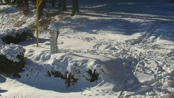 Běžecký lyžařský areál Nová Ves - horní část