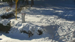 Běžecký lyžařský areál Nová Ves - horní část