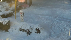 Běžecký lyžařský areál Nová Ves - horní část