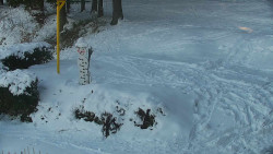 Běžecký lyžařský areál Nová Ves - horní část