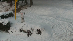 Běžecký lyžařský areál Nová Ves - horní část