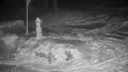 Běžecký lyžařský areál Nová Ves - horní část