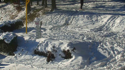 Běžecký lyžařský areál Nová Ves - horní část