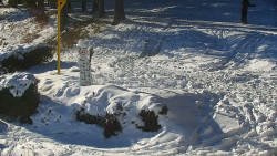 Běžecký lyžařský areál Nová Ves - horní část