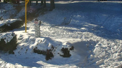 Běžecký lyžařský areál Nová Ves - horní část