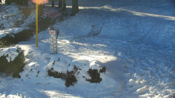 Běžecký lyžařský areál Nová Ves - horní část