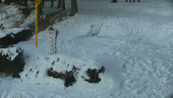 Běžecký lyžařský areál Nová Ves - horní část