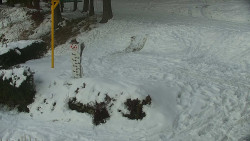 Běžecký lyžařský areál Nová Ves - horní část