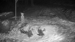 Běžecký lyžařský areál Nová Ves - horní část