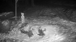 Běžecký lyžařský areál Nová Ves - horní část