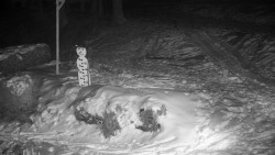 Běžecký lyžařský areál Nová Ves - horní část