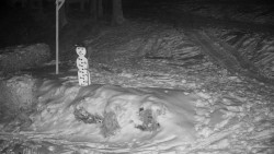 Běžecký lyžařský areál Nová Ves - horní část