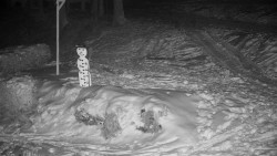 Běžecký lyžařský areál Nová Ves - horní část