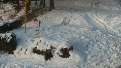 Běžecký lyžařský areál Nová Ves - horní část