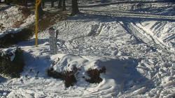 Běžecký lyžařský areál Nová Ves - horní část