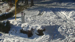 Běžecký lyžařský areál Nová Ves - horní část