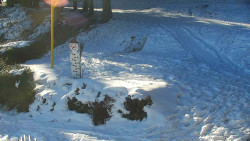 Běžecký lyžařský areál Nová Ves - horní část