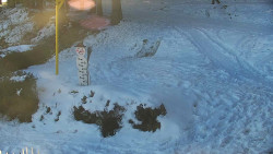 Běžecký lyžařský areál Nová Ves - horní část