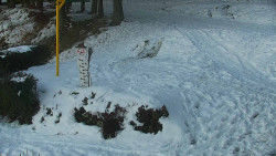 Běžecký lyžařský areál Nová Ves - horní část