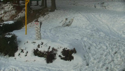 Běžecký lyžařský areál Nová Ves - horní část