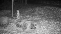 Běžecký lyžařský areál Nová Ves - horní část