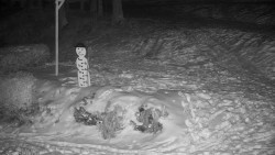 Běžecký lyžařský areál Nová Ves - horní část