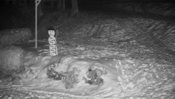 Běžecký lyžařský areál Nová Ves - horní část