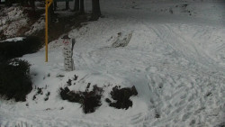 Běžecký lyžařský areál Nová Ves - horní část