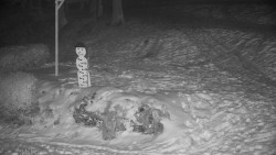 Běžecký lyžařský areál Nová Ves - horní část