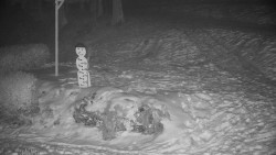 Běžecký lyžařský areál Nová Ves - horní část