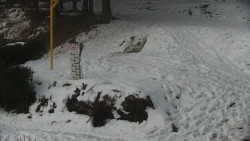 Běžecký lyžařský areál Nová Ves - horní část