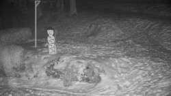 Běžecký lyžařský areál Nová Ves - horní část