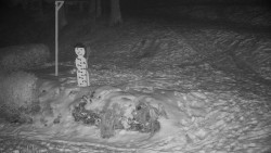 Běžecký lyžařský areál Nová Ves - horní část