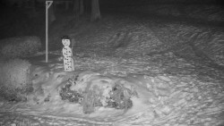 Běžecký lyžařský areál Nová Ves - horní část