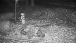 Běžecký lyžařský areál Nová Ves - horní část