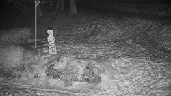 Běžecký lyžařský areál Nová Ves - horní část