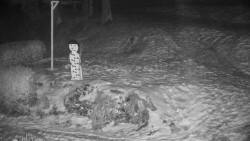 Běžecký lyžařský areál Nová Ves - horní část