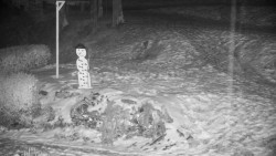 Běžecký lyžařský areál Nová Ves - horní část