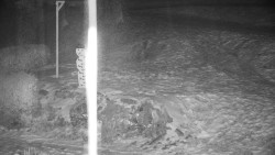 Běžecký lyžařský areál Nová Ves - horní část