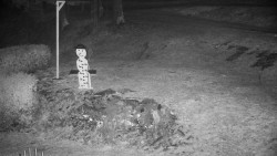 Běžecký lyžařský areál Nová Ves - horní část