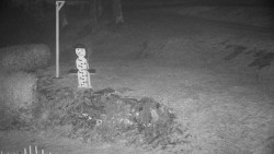 Běžecký lyžařský areál Nová Ves - horní část