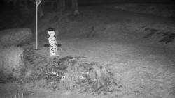 Běžecký lyžařský areál Nová Ves - horní část