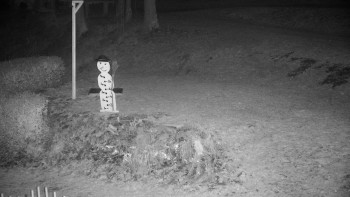 Chata Myslivna SKP Olomouc