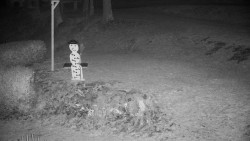 Běžecký lyžařský areál Nová Ves - horní část