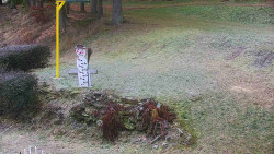 Běžecký lyžařský areál Nová Ves - horní část