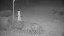 Běžecký lyžařský areál Nová Ves - horní část