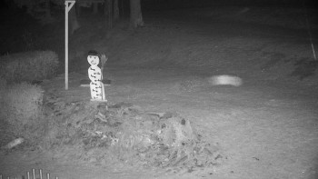 Chata Myslivna SKP Olomouc