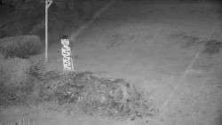 Běžecký lyžařský areál Nová Ves - horní část